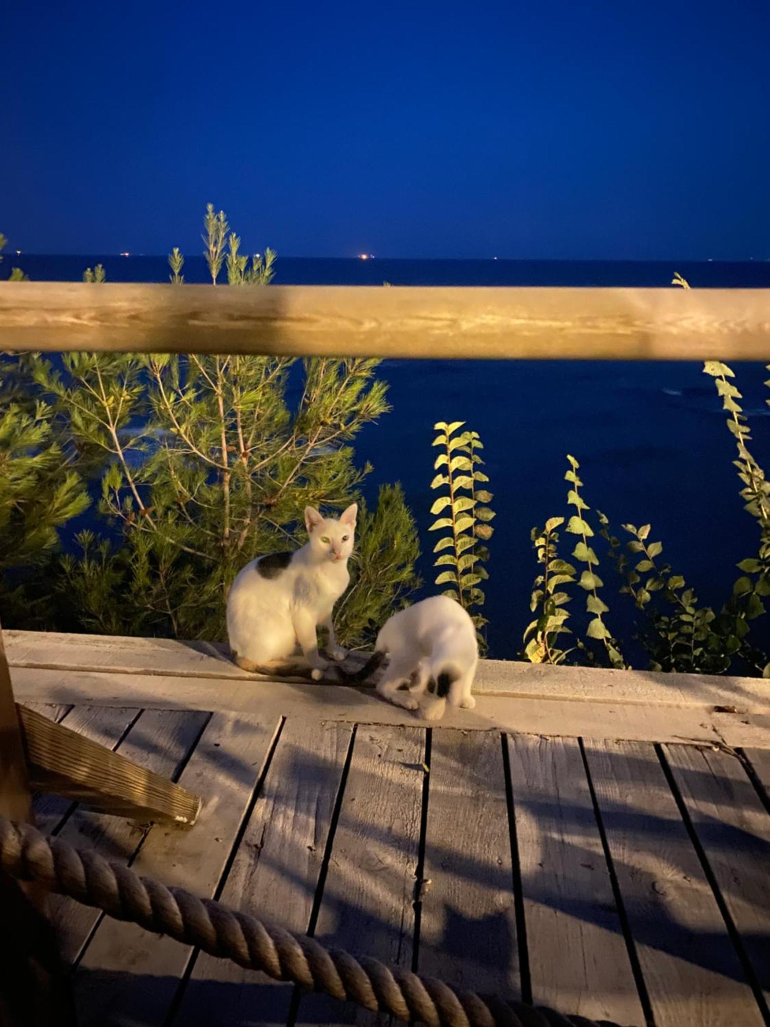 Pia Mare Otel Gunduzlu Luaran gambar